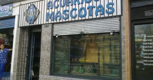 ACUARIOS & MASCOTAS ACUARIOS & MASCOTAS